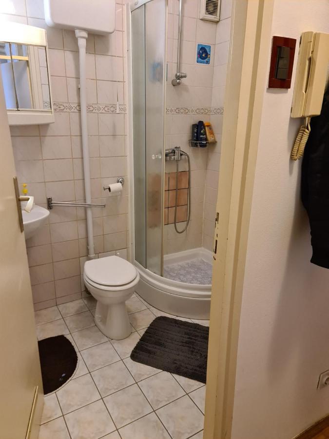 Apartman U Velikoj Gorici Zeljko فيليكا غوغيتْسا المظهر الخارجي الصورة